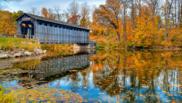 Картинка природа лес река мост деревья пейзаж