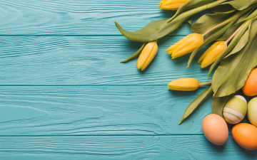 Картинка праздничные пасха тюльпаны