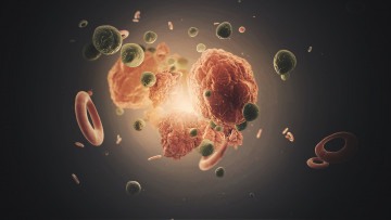 Картинка 3д+графика другое+ other кольца фон сгустки объекты