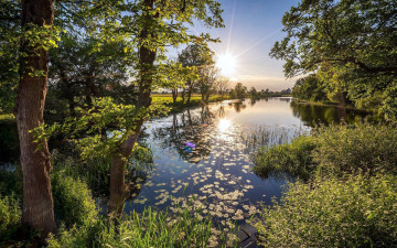 Картинка природа реки озера река деревья закат
