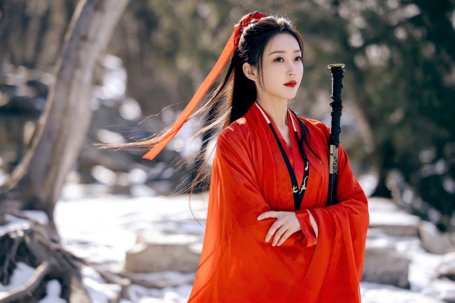 Обои картинки фото кино фильмы, -unknown , другое, xuan, lu, меч, снег