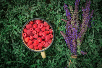 Картинка еда малина ягоды спелая