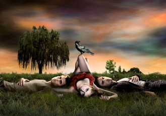 обоя кино фильмы, the vampire diaries, вампиры, трава, дерево