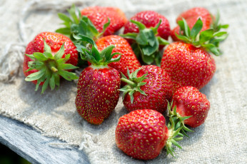 Картинка еда клубника +земляника