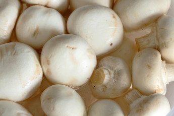 Картинка еда грибы +грибные+блюда шампиньоны макро