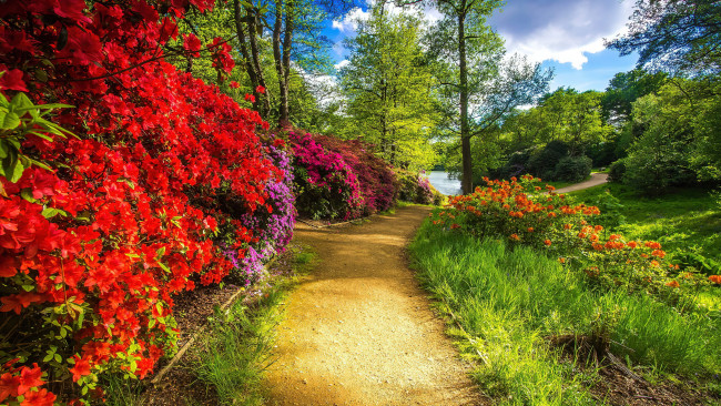 Обои картинки фото природа, парк, водоем, деревья, кусты, цветущие