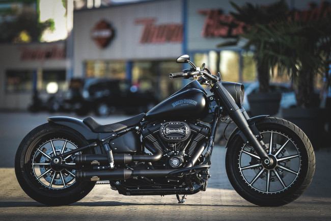 Обои картинки фото харлей, мотоциклы, harley-davidson, мотоцикл, байк, чёрный, thunderbike, customs