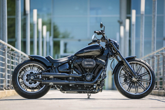 Обои картинки фото harley, мотоциклы, harley-davidson, thunderbike, customs, мотоцикл, байк, чёрный