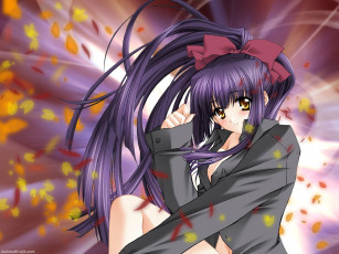 Картинка аниме moonlight lady