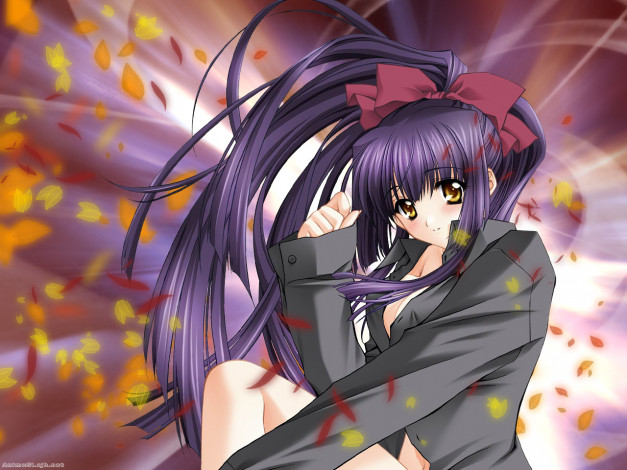 Обои картинки фото аниме, moonlight, lady