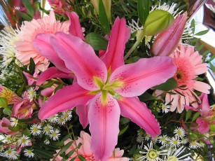 Картинка цветы разные вместе