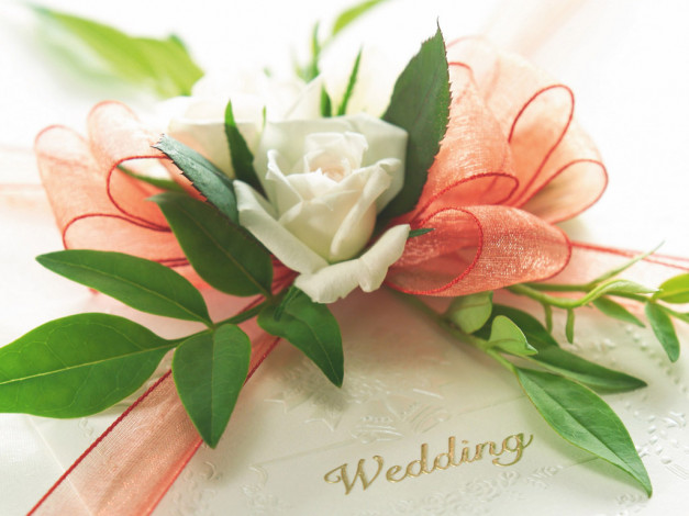 Обои картинки фото цветы, букеты, композиции