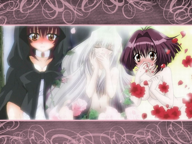 Обои картинки фото karin, аниме