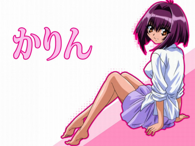 Обои картинки фото karin, аниме