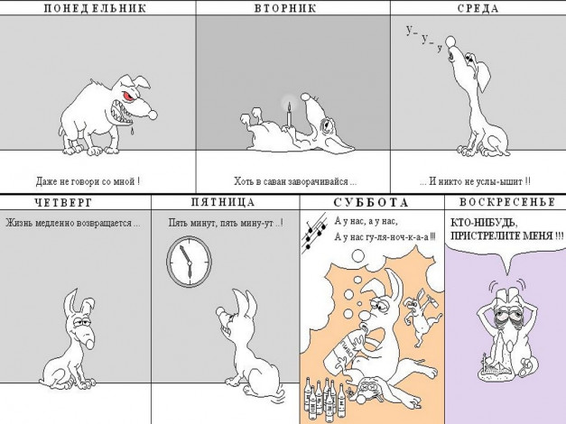 Обои картинки фото юмор, приколы