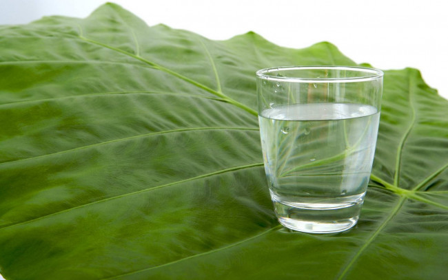 Обои картинки фото еда