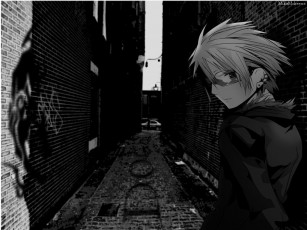 Картинка аниме dogs bullets carnage