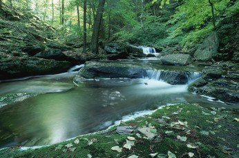 Картинка природа реки озера