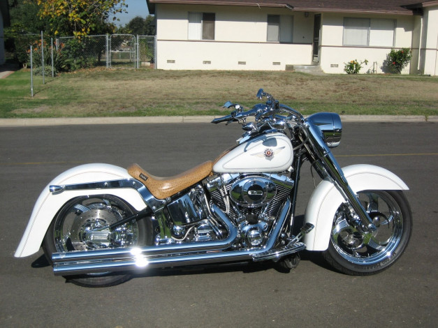 Обои картинки фото мотоциклы, harley, davidson