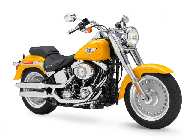 Обои картинки фото мотоциклы, harley, davidson, fat, shrine, boy