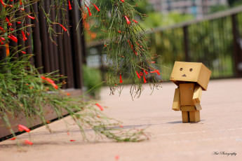 Картинка разное данбо danboard цветы коробочка игрушка милый