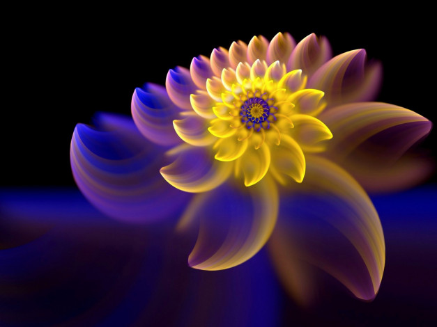 Обои картинки фото 3д, графика, fractal, фракталы, узор, цвета, фон