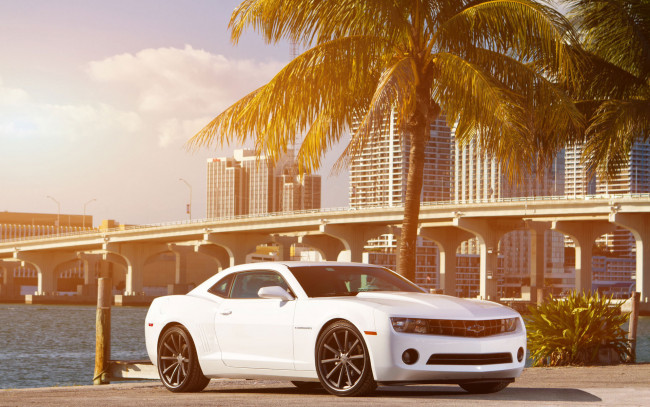 Обои картинки фото chevrolet, camaro, автомобили, шевроле, река, мост, пальма, белая, камаро
