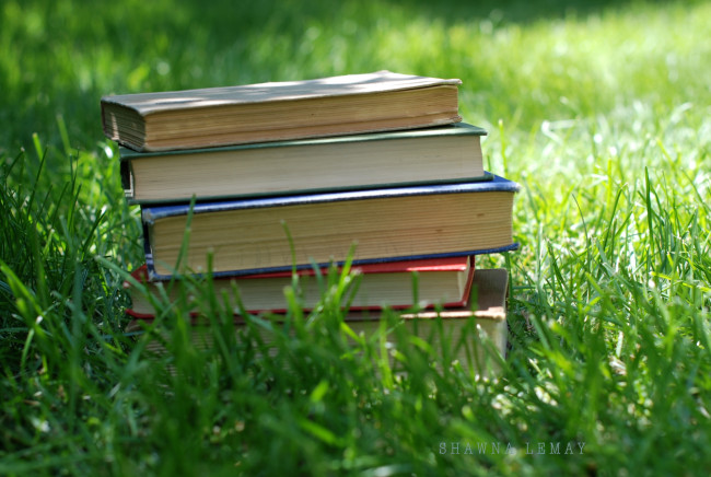 Обои картинки фото разное, канцелярия, книги, трава