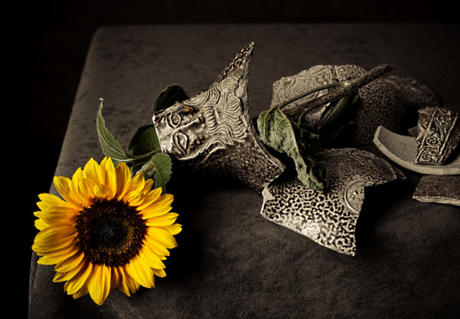 Обои картинки фото цветы, подсолнухи, кувшин, черепки, подсолнух