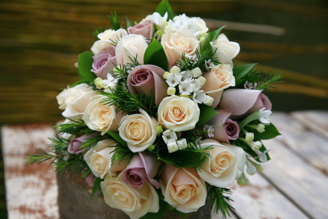 Обои картинки фото цветы, розы, букет