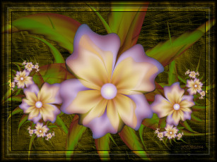 Картинка 3д+графика цветы+ flowers цвета фон узор