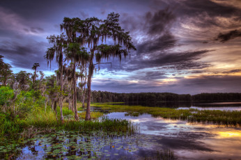 Картинка природа реки озера тучи озеро растительность