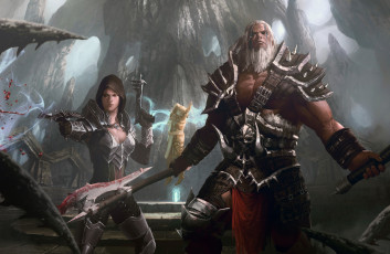 Картинка видео+игры diablo+iii +reaper+of+souls крови рога череп секира доспехи капюшон девушка мужчина