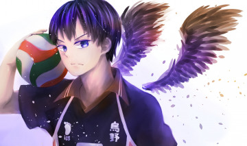 Картинка аниме haikyuu nyoki1228 арт крылья мяч парень tobio kageyama
