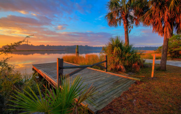 Картинка природа реки озера облака берег мостик пальмы