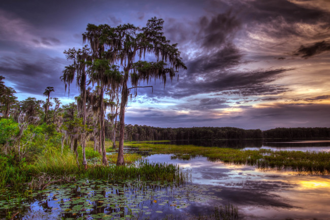 Обои картинки фото природа, реки, озера, тучи, озеро, растительность