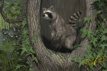 Картинка 3д+графика животные+ animals росомаха лес дерево