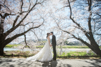 Картинка разное мужчина+женщина невеста жених любовь девушка пара парень азиаты праздник свадьба