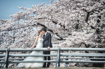 Картинка разное мужчина+женщина невеста жених любовь девушка пара парень азиаты праздник свадьба