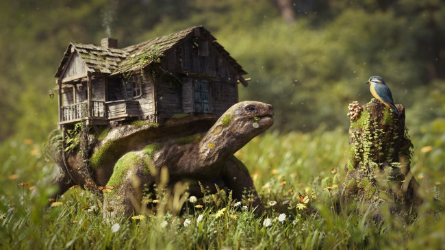 Обои картинки фото разное, компьютерный дизайн, лес, дом, черепаха, птица, пень, грибы, цветы, трава