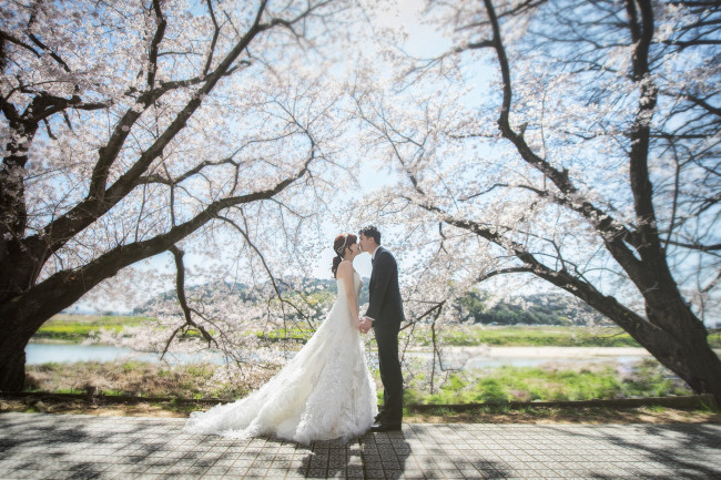 Обои картинки фото разное, мужчина женщина, невеста, жених, любовь, девушка, пара, парень, азиаты, праздник, свадьба