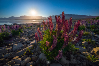 Картинка природа восходы закаты рассвет