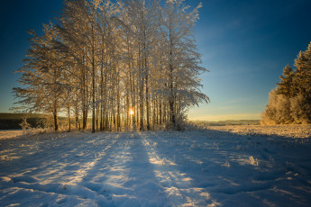 Картинка природа зима снег