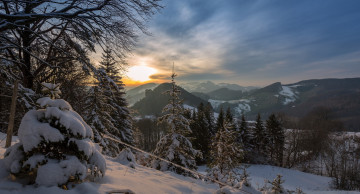 Картинка природа зима снег