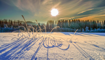 Картинка природа зима снег