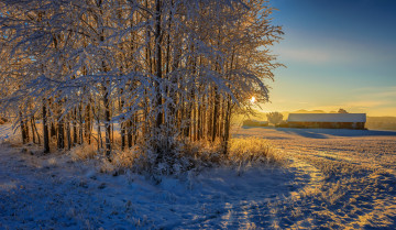 Картинка природа зима снег