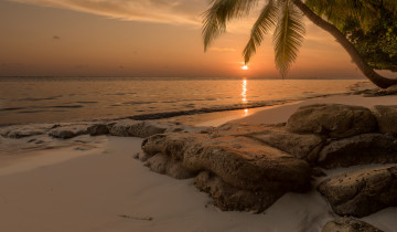 Картинка природа тропики рассвет