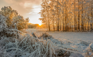 Картинка природа зима снег