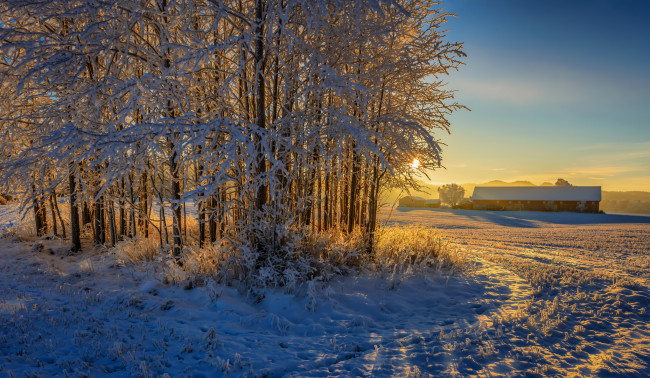 Обои картинки фото природа, зима, снег