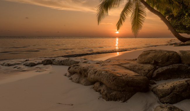 Обои картинки фото природа, тропики, рассвет